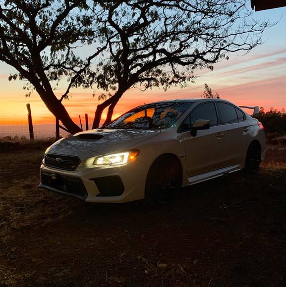 Meet your Posher, Carlos - Picture 1 of 1